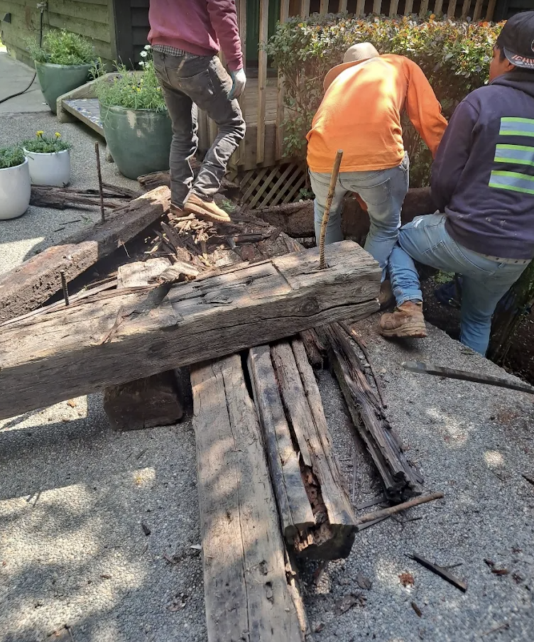 Crew removing rotted timber decking and hauling out the debris